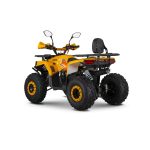 Квадроцикл MINSK Lis 125 — изображение 3