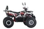 Квадроцикл YACOTA DAZZLE 125 LUX — изображение 3