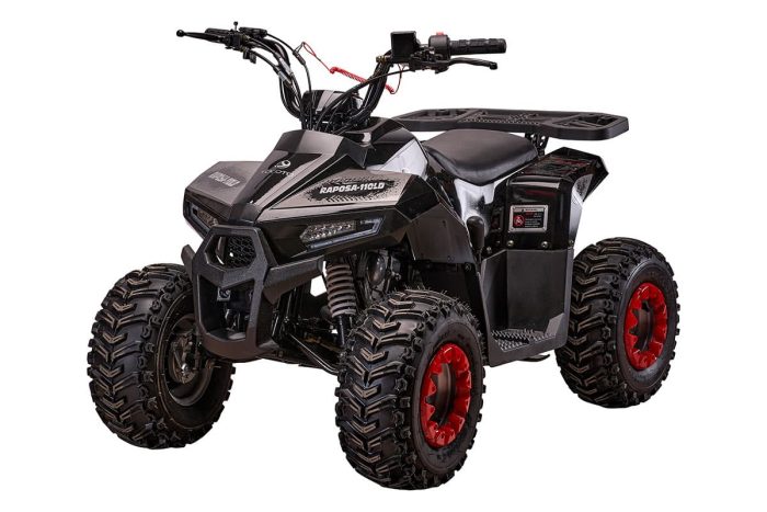 Детский квадроцикл YACOTA RAPOSA 110 — изображение 2