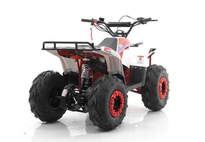 Квадроцикл MOTAX GRIZLIK A110 — изображение 4