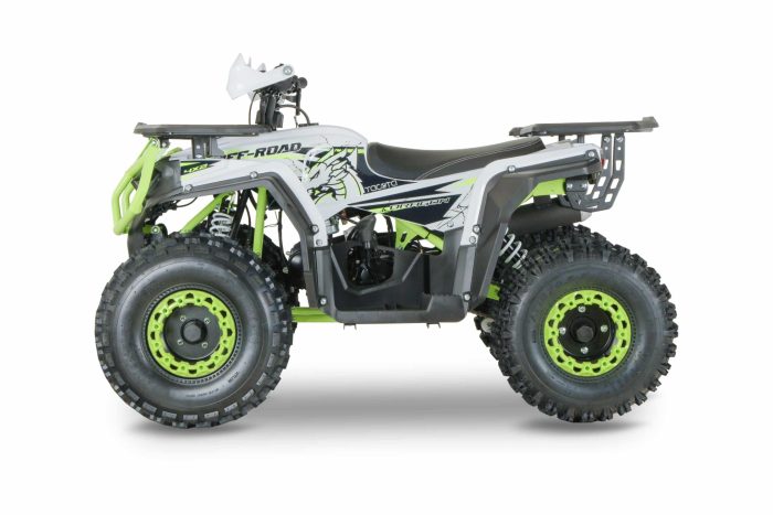 Квадроцикл YACOTA DRAGON 125 — изображение 4