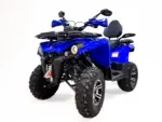 Квадроцикл MOTAX GRIZLIK 200 ULTRA BIG — изображение 2