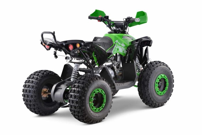 Квадроцикл YACOTA RENEGADE 125 — изображение 4