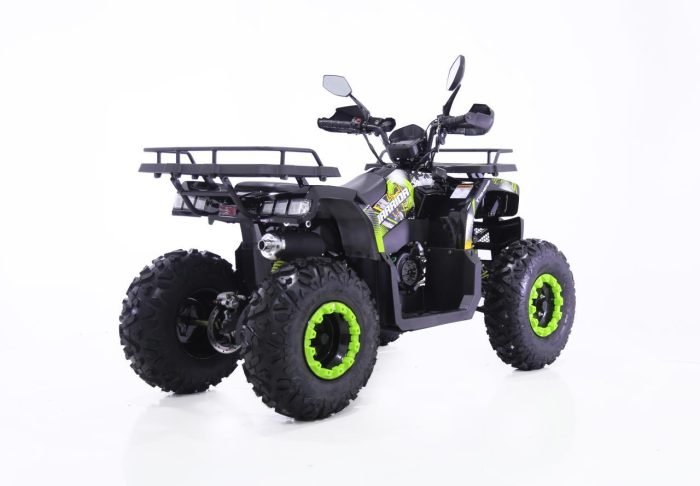 Квадроцикл YACOTA WARRIOR 200 — изображение 4