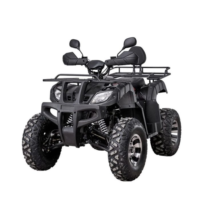 Квадроцикл YACOTA SELA 200 PRO — изображение 2