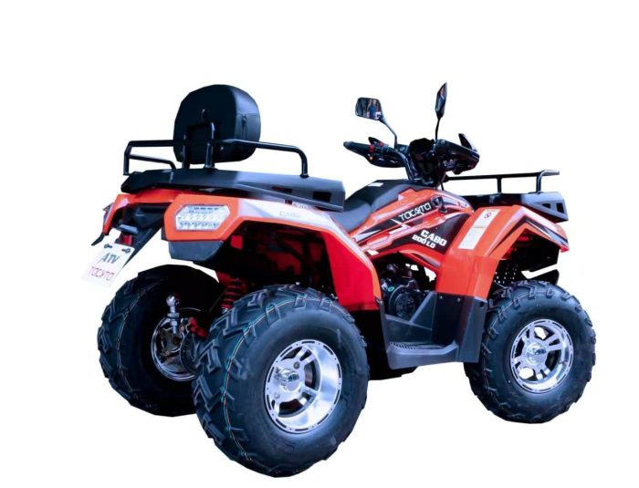 Квадроцикл YACOTA CABO 200 LD — изображение 4