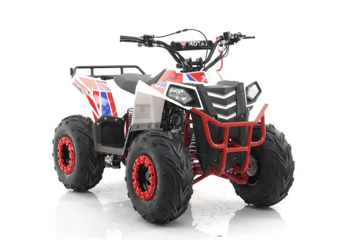 Квадроцикл MOTAX GRIZLIK A110 — изображение 6