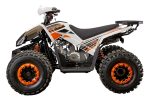 Квадроцикл YACOTA SPORTY XX 125 — изображение 4
