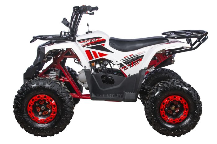 Квадроцикл YACOTA FUSION 125 PRO — изображение 3