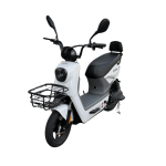 Электроскутер SHTENLI Model 29 Performance