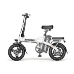 Электровелосипед SHTENLI Zsun Model F8 6А
