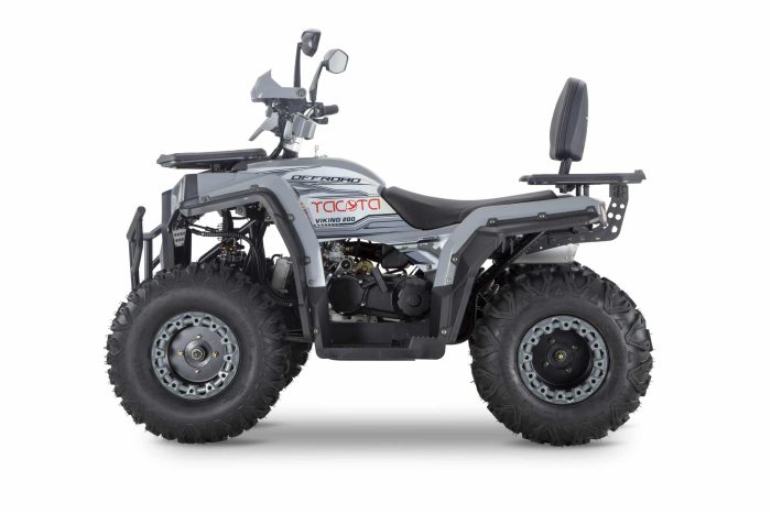 Квадроцикл YACOTA VIKING 200 — изображение 2