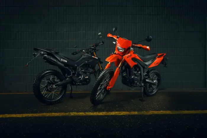 Мотоцикл эндуро MINSK X 250 (ПТС) — изображение 10