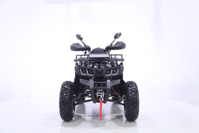 Квадроцикл YACOTA WARRIOR 200 PRO — изображение 2