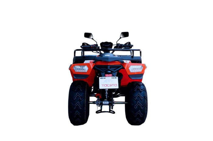 Квадроцикл YACOTA CABO 200 — изображение 3