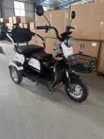 Электротрицикл SHTENLI Model 31 (SLA 12Ач 48В) — изображение 4