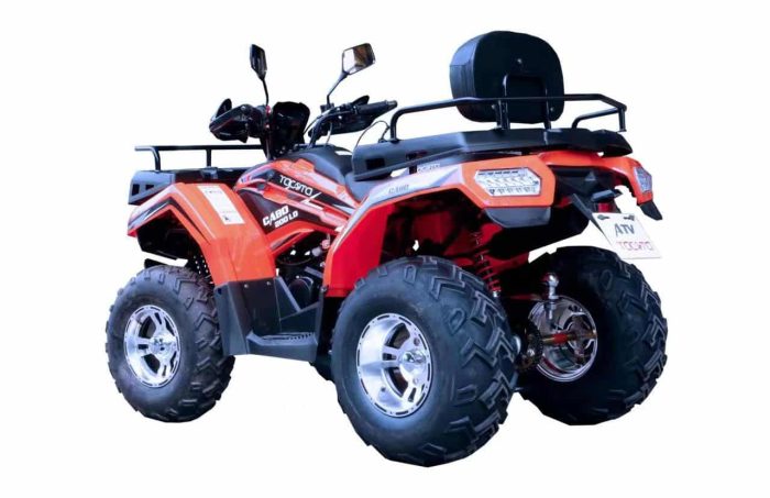 Квадроцикл YACOTA CABO 200 LD — изображение 2