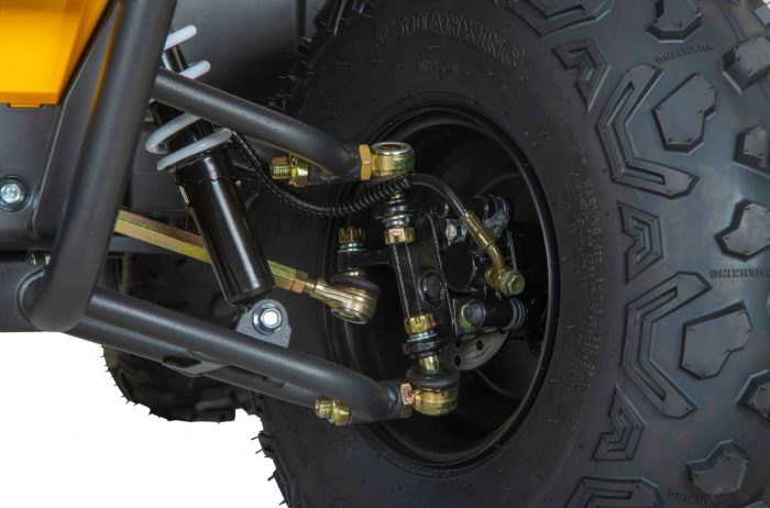 Квадроцикл MINSK Lis 125 — изображение 5