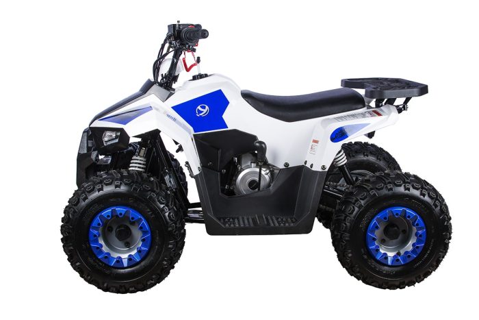 Детский квадроцикл YACOTA RAPOSA 110 — изображение 5