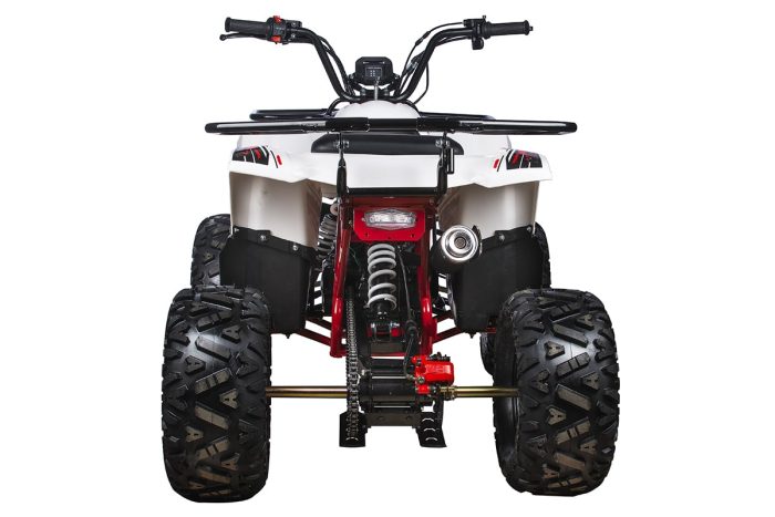 Квадроцикл YACOTA FUSION 125 PRO — изображение 4