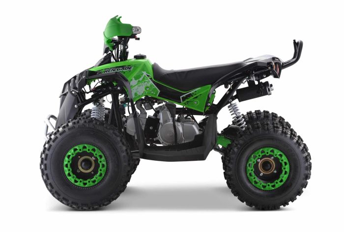 Квадроцикл YACOTA RENEGADE 125 — изображение 2