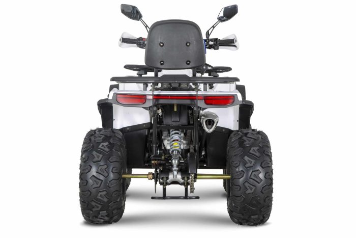 Квадроцикл YACOTA VIKING 200 PRO — изображение 6