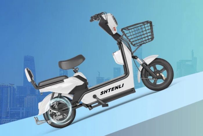 Электроскутер SHTENLI Model 15 Maxi Range — изображение 5