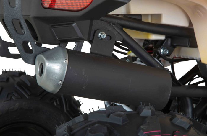 Квадроцикл MINSK Lis 125 — изображение 7