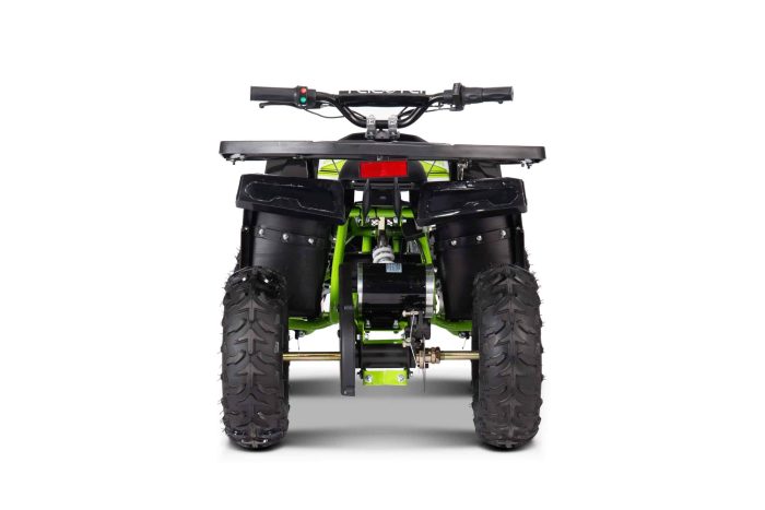 Электроквадроцикл YACOTA SIRIUS 1000W — изображение 6