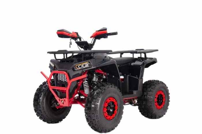 Квадроцикл YACOTA VEKTOR 125 LUX — изображение 3