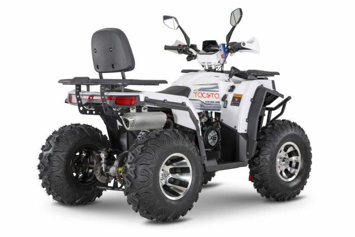 Квадроцикл YACOTA VIKING 200 PRO — изображение 5