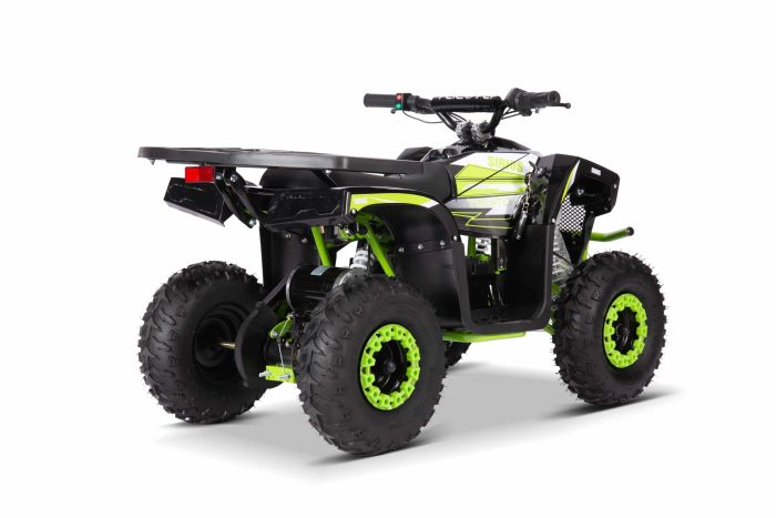Электроквадроцикл YACOTA SIRIUS 1000W — изображение 7