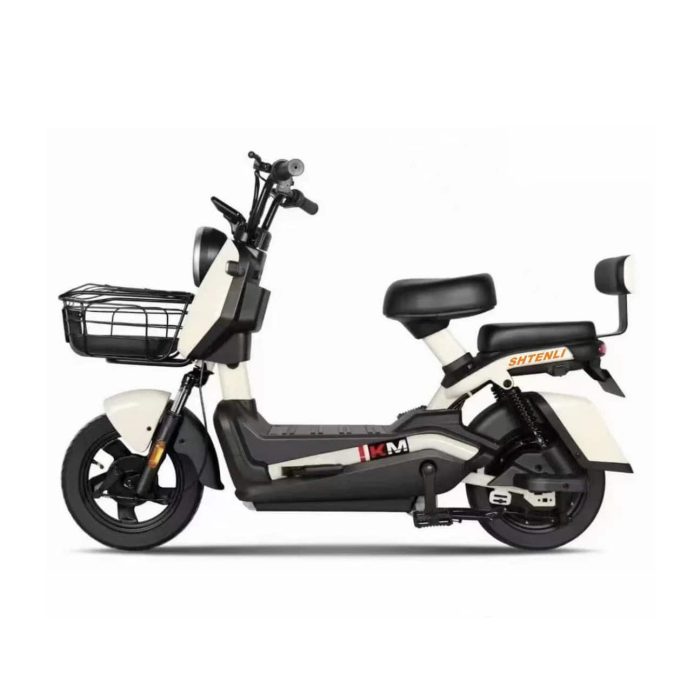 Электроскутер SHTENLI Model 21 Performance — изображение 1