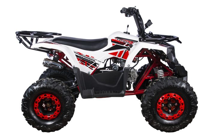 Квадроцикл YACOTA FUSION 125 PRO — изображение 5