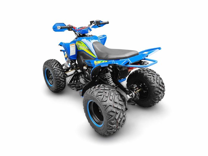 Квадроцикл YACOTA TYPHOON 250 — изображение 7