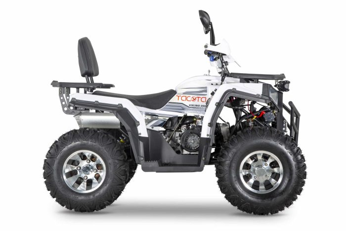 Квадроцикл YACOTA VIKING 200 PRO — изображение 4