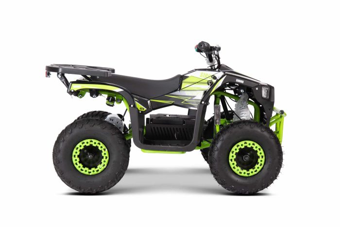 Электроквадроцикл YACOTA SIRIUS 1000W — изображение 8