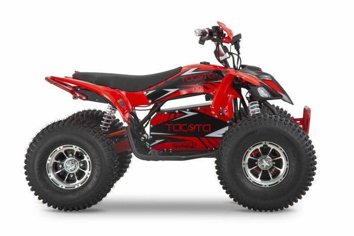 Электроквадроцикл YACOTA E-SPORT 3000W LD — изображение 6