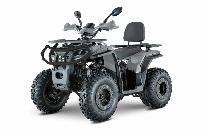 Квадроцикл YACOTA VIKING NEW 200 — изображение 2