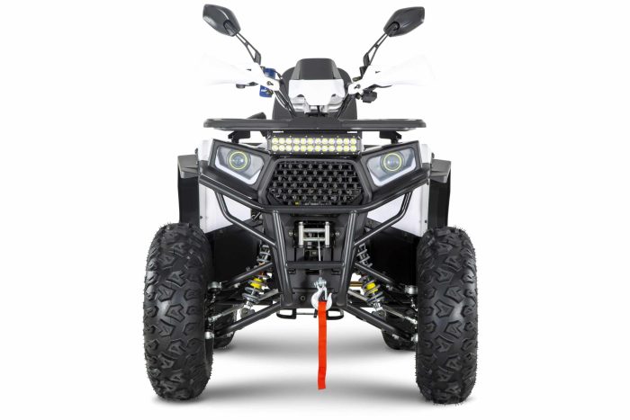 Квадроцикл YACOTA VIKING 200 PRO — изображение 2