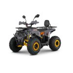 Квадроцикл MINSK Lis 125 — изображение 2