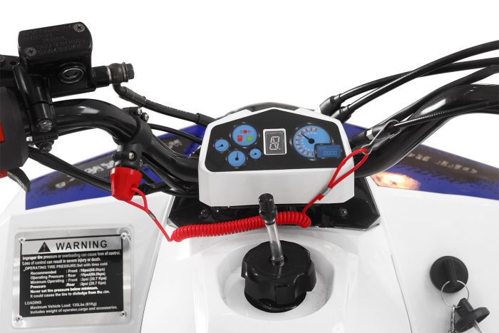 Детский квадроцикл YACOTA RAPOSA 110 — изображение 8