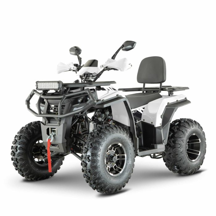 Квадроцикл YACOTA VIKING NEW 200 PRO — изображение 1