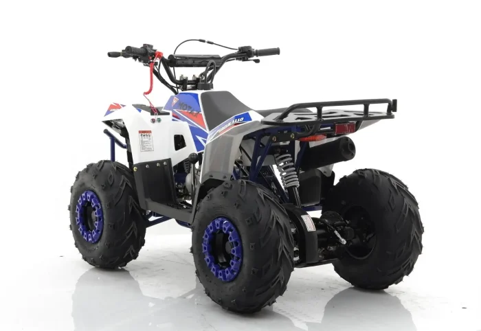 Квадроцикл MOTAX GRIZLIK A110 — изображение 9