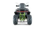 Квадроцикл YACOTA VIKING NEW 200 — изображение 6