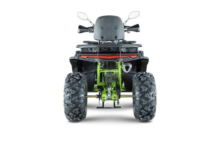 Квадроцикл YACOTA VIKING NEW 200 — изображение 6