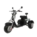 Электротрицикл CityCoCo M12 TRIKE