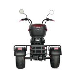 Электротрицикл GT X14 PRO TRIKE — изображение 3