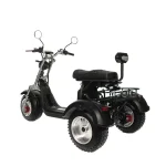 Электротрицикл CityCoCo M12 TRIKE — изображение 2