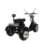 Электротрицикл CityCoCo M12 TRIKE — изображение 3